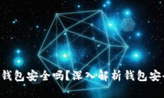 Tokenim创建的钱包安全吗？