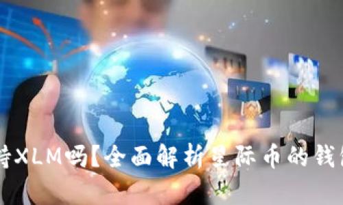 货币钱包支持XLM吗？全面解析星际币的钱包选择与使用