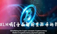 货币钱包支持XLM吗？全面解析星际币的钱包选择