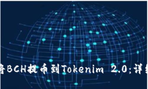 如何将BCH提币到Tokenim 2.0：详细指南