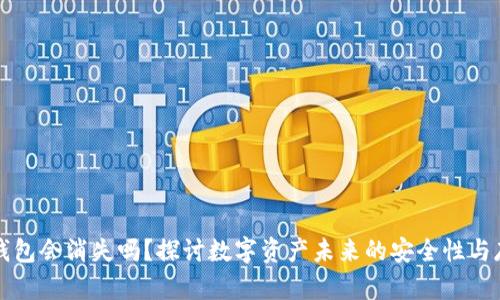 比特币钱包会消失吗？探讨数字资产未来的安全性与存储方式
