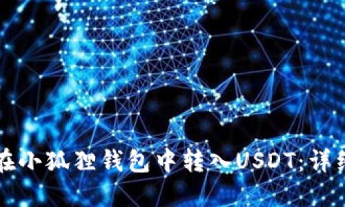 如何在小狐狸钱包中转入USDT：详细指南