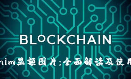 Tokenim显额图片：全面解读及使用指南