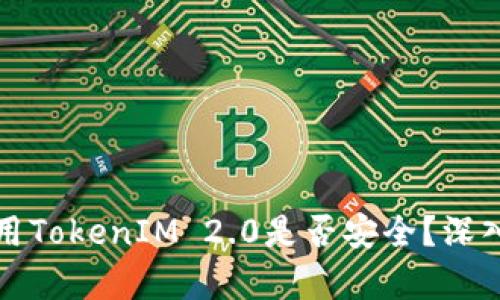 苹果手机使用TokenIM 2.0是否安全？深入分析与评测