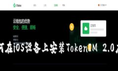 如何在iOS设备上安装Toke