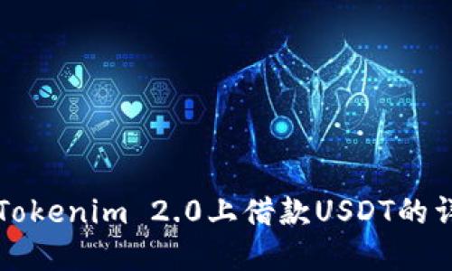 如何在Tokenim 2.0上借款USDT的详细指南