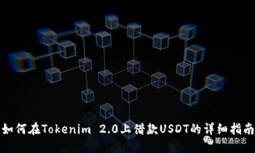 如何在Tokenim 2.0上借款USDT的详细指南