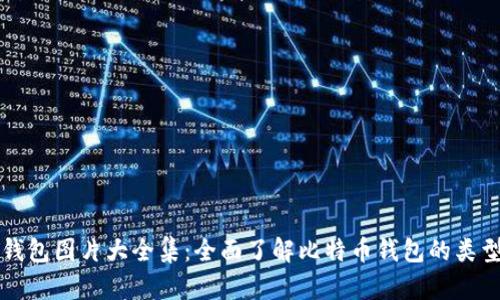 比特币钱包图片大全集：全面了解比特币钱包的类型与设计