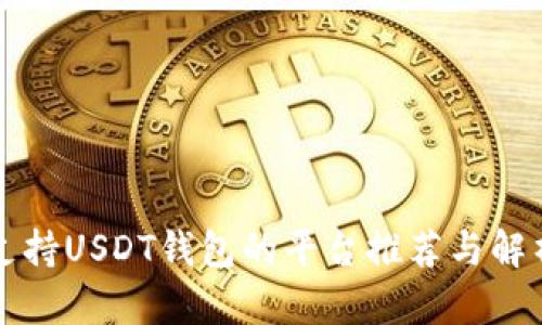支持USDT钱包的平台推荐与解析