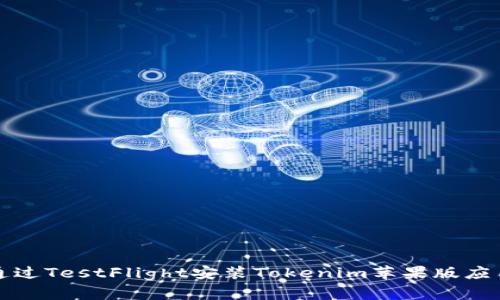 如何通过TestFlight安装Tokenim苹果版应用程序