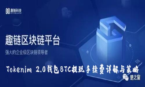 Tokenim 2.0钱包BTC提现手续费详解与策略