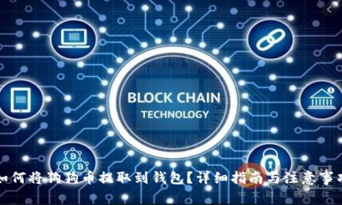 如何将狗狗币提取到钱包？详细指南与注意事项