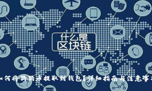 如何将狗狗币提取到钱包？详细指南与注意事项