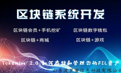 Tokenim 2.0：如何存储和管理你的FIL资产