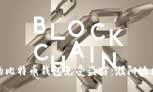 如何保护你的比特币钱包免受盗窃：濮阳地区的安全建议