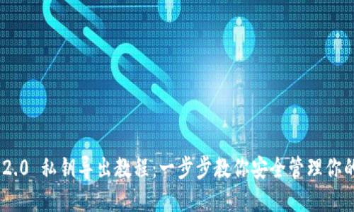 Tokenim 2.0 私钥导出教程：一步步教你安全管理你的数字资产
