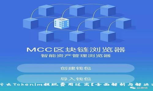 为什么Tokenim提现费用过高？全面解析与解决方案