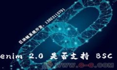 Tokenim 2.0 是否支持 BSC 链？