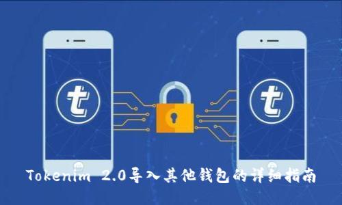 Tokenim 2.0导入其他钱包的详细指南