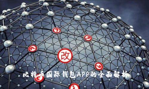 比特币国际钱包APP的全面解析
