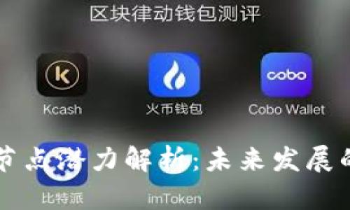 以太坊钱包节点潜力解析：未来发展的机遇与挑战