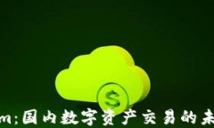 Tokenim：国内数字资产交易