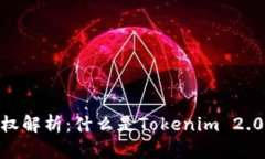 Tokenim 2.0授权解析：什么是