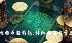 怎样导入比特币轻钱包：