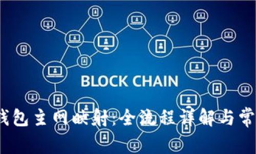 IM Token钱包主网映射：全流程详解与常见问题解答
