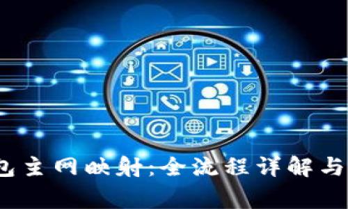 IM Token钱包主网映射：全流程详解与常见问题解答