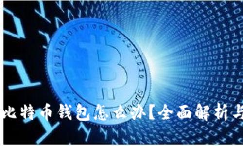男子丢失比特币钱包怎么办？全面解析与解决方案