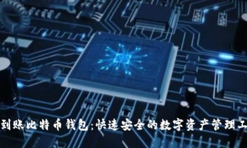 秒到账比特币钱包：快速安全的数字资产管理工具
