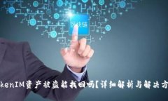 TokenIM资产被盗能找回吗？