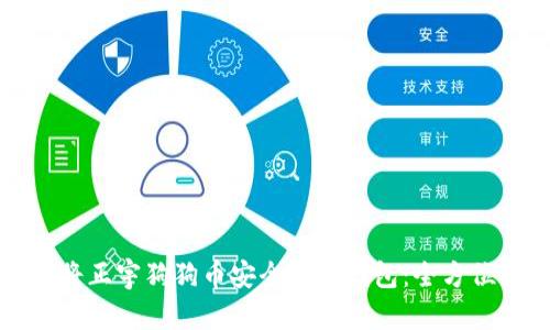 如何将正宇狗狗币安全转入钱包：全方位指南