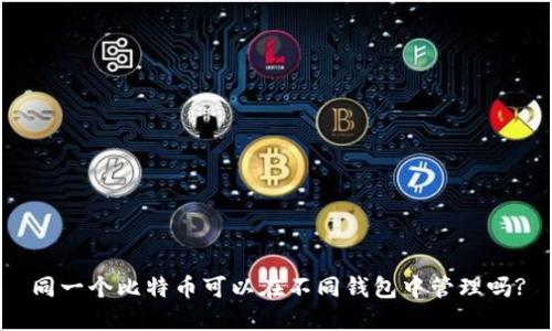 同一个比特币可以在不同钱包中管理吗?