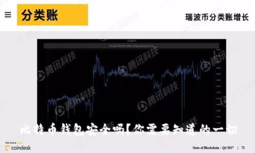比特币钱包安全吗？你需要知道的一切