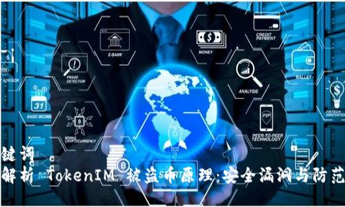 与关键词
深入解析 TokenIM 被盗币原理：安全漏洞与防范措施