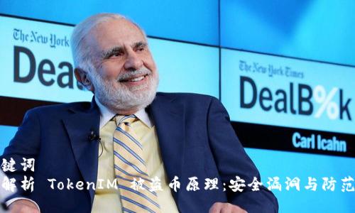 与关键词
深入解析 TokenIM 被盗币原理：安全漏洞与防范措施