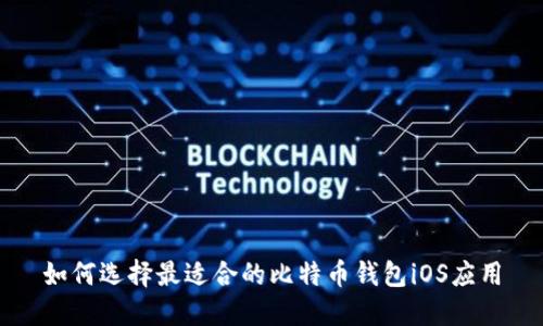 如何选择最适合的比特币钱包iOS应用