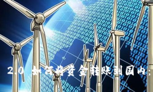 Tokenim 2.0 如何将资金转账到国内：详细指南