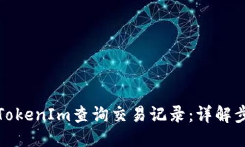 如何通过TokenIm查询交易记录：详解步骤与技巧