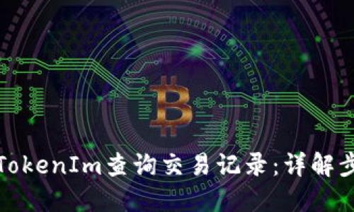 如何通过TokenIm查询交易记录：详解步骤与技巧