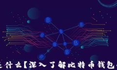 比特币钱包是什么？深入