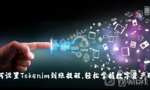 如何设置Tokenim到账提醒，轻松掌握数字资产动态