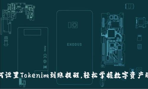 如何设置Tokenim到账提醒，轻松掌握数字资产动态