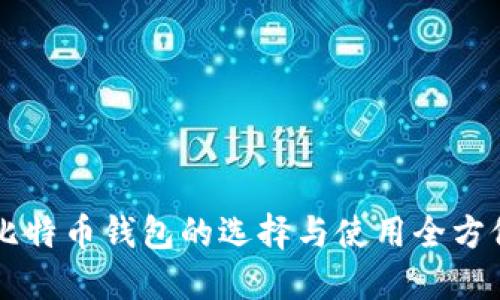 香港比特币钱包的选择与使用全方位指南