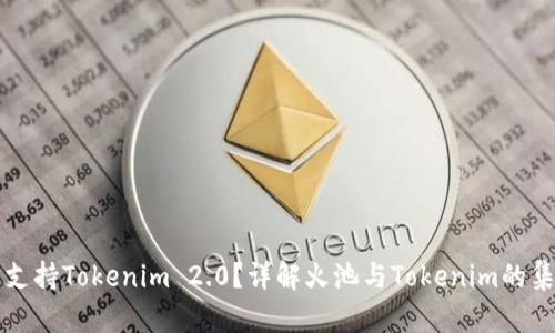 火池是否支持Tokenim 2.0？详解火池与Tokenim的集成与应用