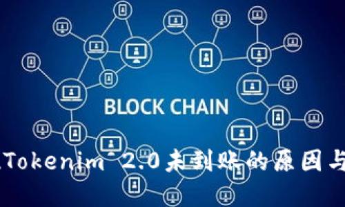 币安提现Tokenim 2.0未到账的原因与解决方法