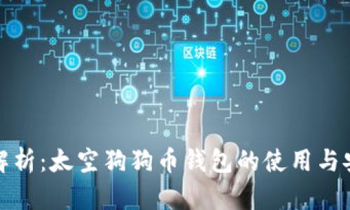 全面解析：太空狗狗币钱包的使用与安全性