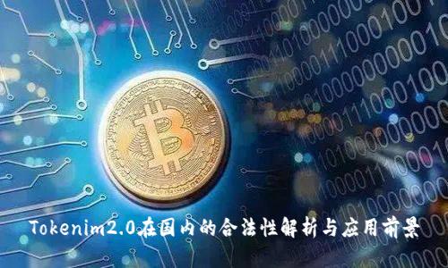 Tokenim2.0在国内的合法性解析与应用前景